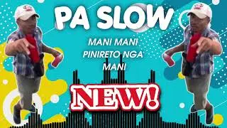 Mani Mani Pinireto Nga Mani | PaSlow Mix | DjNieL