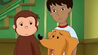 Big, Bad Hundley 🐵Curious George 🐵 Kids Cartoon🐵Kids Movies🐵Videos for Kids