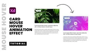 Adobe XD Hover Effect Animation Design & Prototype Tutorial