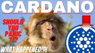 Cardano ADA Sells Off! Should You Panic? What Actually Caused The Pull Back In The Crypto Space!?!