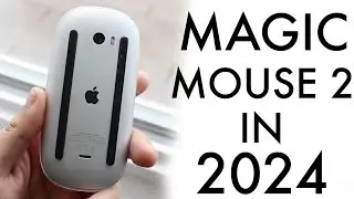 Magic Mouse 2 In 2024! (Still Worth It?) (Review)