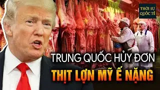 Trung Quốc Bất Ngờ 'Bom Hàng' 12.000 Tấn Thịt Lợn + Thuế 172% Khiến Nông Dân Mỹ Chao Đảo