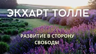 Развитие в сторону свободы - ЭКХАРТ ТОЛЛЕ [Nikosho]