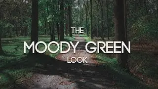 The Moody Green Look Photography and Lightroom Tutorial