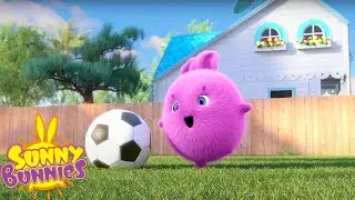 SUNNY BUNNIES - Rainbow and Football | BRAND NEW EPISODE | Season 8 | Cartoons for Kids