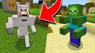 DO YOU KNOW THESE SECRET MOBS IN MINECRAFT?!