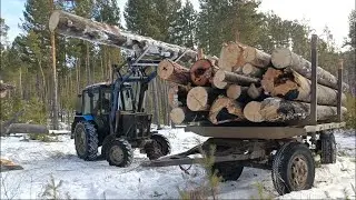 Едем по дрова на двух тракторах