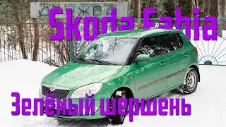 Зелёный шершень | Skoda Fabia | На колёсах