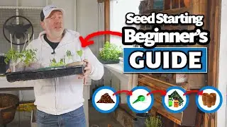 How to Start Seeds for your Garden (Beginner's Guide)