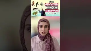 ASLA ÖLDURULMEMESI GEREKEN HAYVANLAR #keşfet #dini