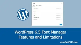 WordPress 6.5 Font Manager - Features and Limitations