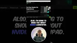 NVIDIA NIM and NVIDIA Launchpad Tutorial