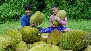 Traditional jackfruit recipe | Cooking & eating | ചക്ക പൊരിച്ച് കഴിച്ചാലോ?