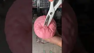 Squishy Brain Slime