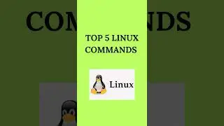 TOP 5 LINUX COMMANDS 