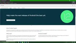 Pixel: How to install the Android 12 Beta