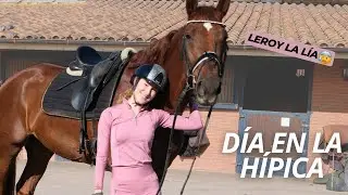 PREPARA Y HAZ CLASE CON NOSOTROS | Un día en la hípica