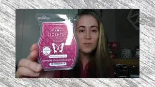 Winterberry Apple Tea Wax Review