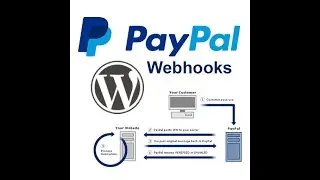 Build Secure Online Payments in Django with PayPal Webhooks || 2024