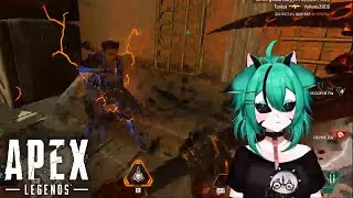 Grumpy space cat takes it out on other team