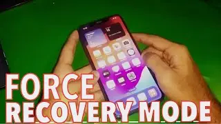 2024: How To Put iPhone 11 Pro Max in Recovery Mode Without Computer