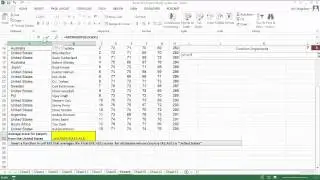 Excel 2013 AverageIF Function