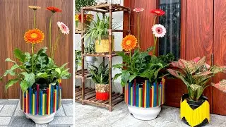 Beautiful plant pots make the garden more vibrant, turning plastic waste into plant pots