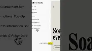 Enable Cookie Banner on Squarespace 17 second Guide