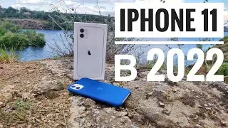 Iphone 11 актуален в 2022?