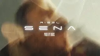 Rig3l-SENA