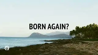 Born Again? | Audio Reading | Our Daily Bread Devotional | October 27, 2024