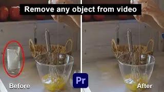 How to Remove Object From Video Using Premiere Pro