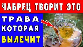 НЕВЕРОЯТНЫЕ вещи ТВОРИТ ЧАБРЕЦ с ОРГАНИЗМОМ 👍 Полезные свойства ЧАБРЕЦА