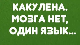 Какулена// Мозга нет, один язык... // Обзор видео и немного прямого эфира//