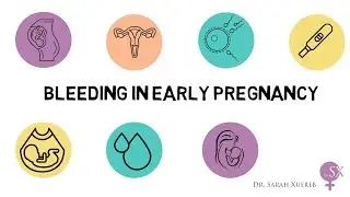 Bleeding in Early Pregnancy