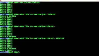 Prepend Text to a File output Linux Shell Script tutorial