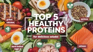 5 Must Have Proteins for Your Ultimate Salad 2024