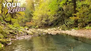 Sound of Nature. Gentle Sounds Of River For Sleep, Meditation And Relaxation.