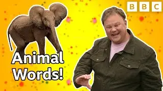 Learn to Makaton Sign: Animal Words | Something Special | CBeebies