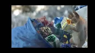 Новогодняя заставка белка и Дед Мороз (Первый канал, 2021-2023)