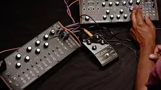 Moog Spectravox x Subharmonicon - A Brief Explainer/patch ideas