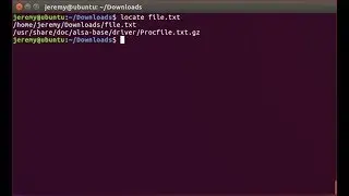 Linux Basics: How to Locate Files and Commands