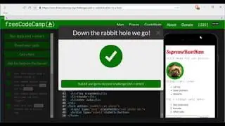 Add a Submit Button to a Form - freeCodeCamp HTML5 and CSS lesson #29