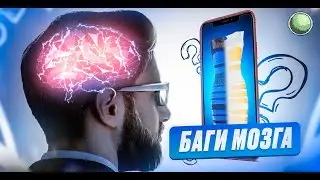 🧪 Баги и фичи нашего мозга. Матрица восприятия.