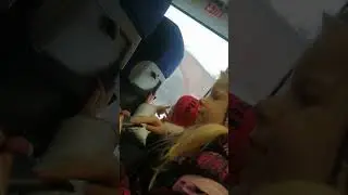развитие, обучение, воспитание детей через активный отдых (2)