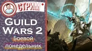 Guild Wars 2. Боевой понедельник ИНОГО!