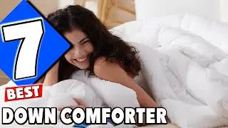 7 Best Down Comforters of 2024 - Sleep Better Tonight