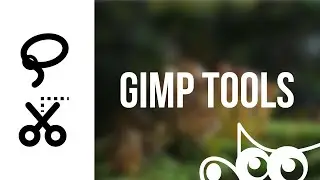 GIMP | Free Select and Scissor Select Tools