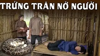 Cổ Tích 2024 | TRỨNG TRĂN NỞ NGƯỜI | Cổ Tích Việt Nam 2024 | Phim Truyện Cổ Tích Việt Nam 2024 |THVL