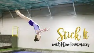 Stick It with New Teammates | Buttercup SGG